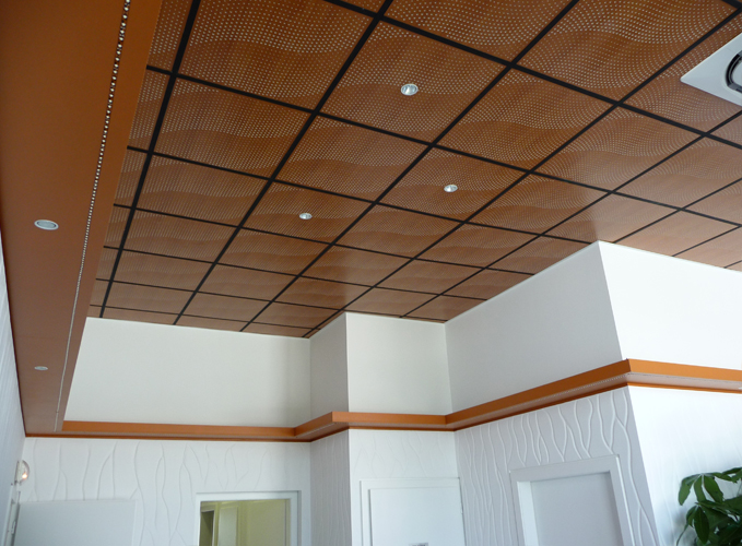 Plafond démontable WEREYSTENGER 1